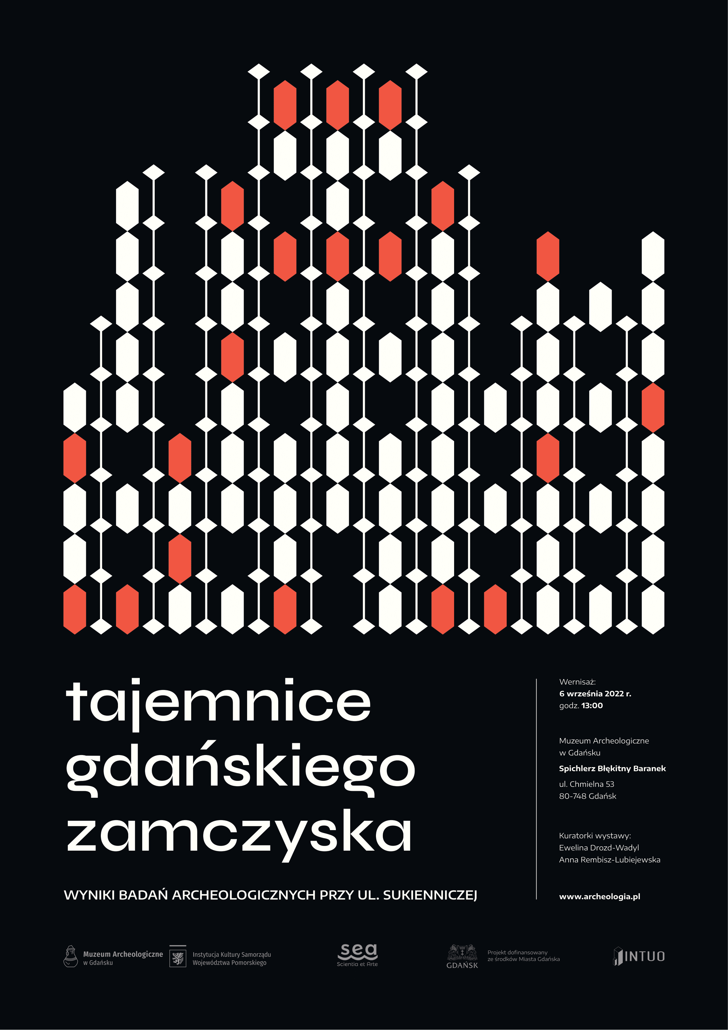 Tajemnice gdanskiego Zamczyska plakat