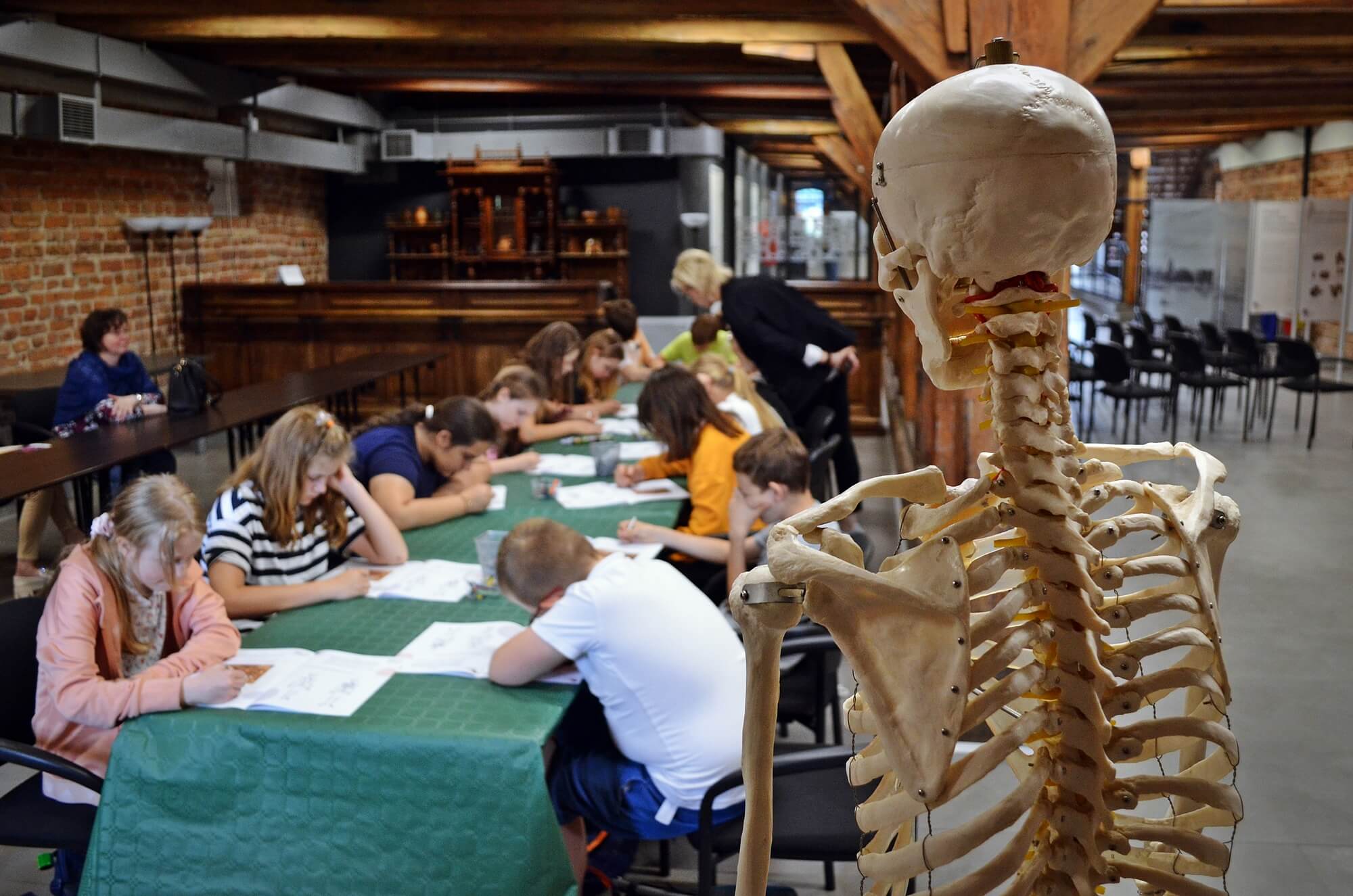 Zdjęcie przedstawia szkielet - pomoc dydaktyczną na stojaku - sfotografowany od tyłu. W tle widać dzieci siedzące przy stole, pochylone nad zeszytami.
