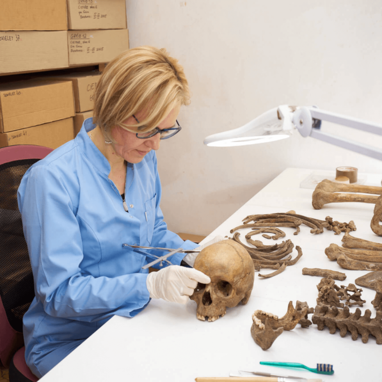 Zdjęcie przedstawia kobietę w odzieży ochronnej siedzącą przy stole i badającą ludzką czaszkę. Obok widać ułożone inne kości szkieletu.