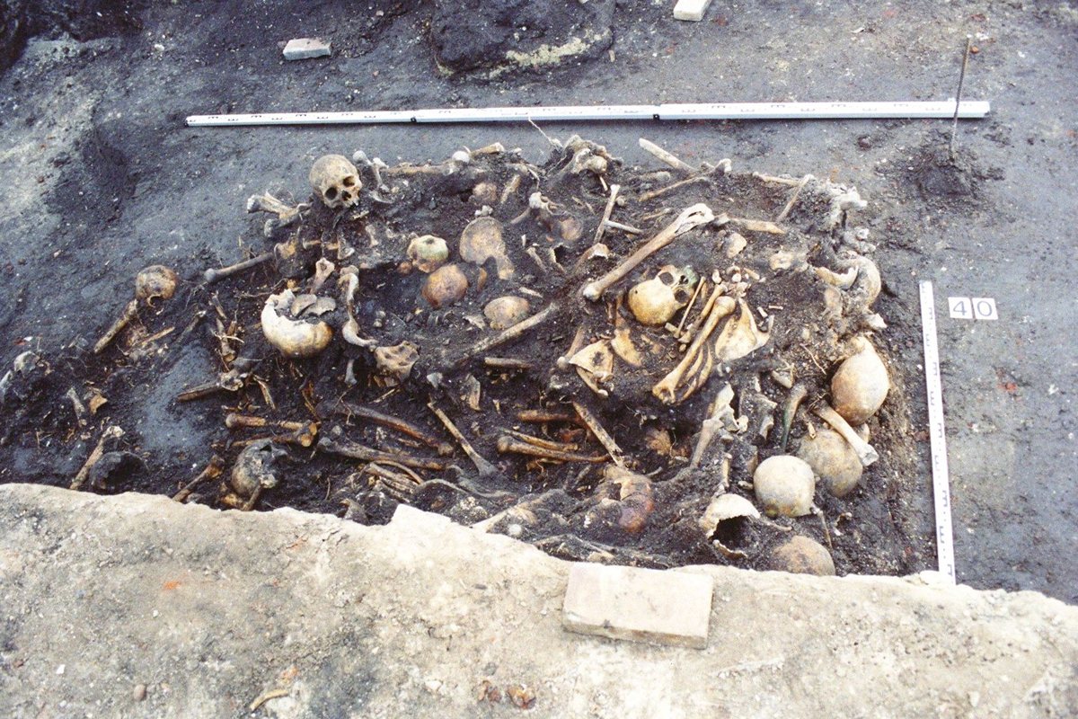 Ossuarium 719 w trakcie badań archeologicznych. Fot. M. Szyszka.